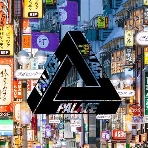 palace skateboards japan.